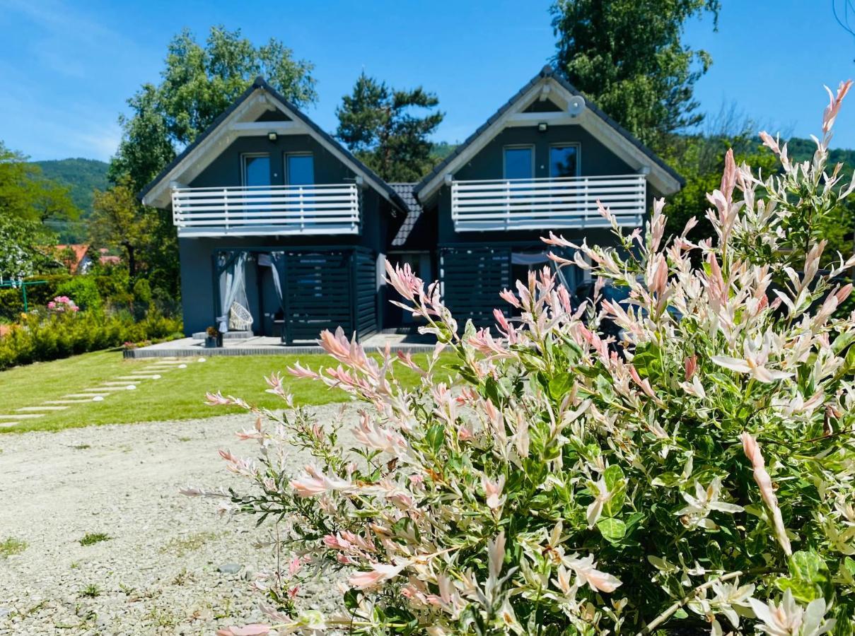 Blizniakowka Villa Brenna Exterior photo